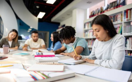 Do My Dissertation – Professional Help From Academic Experts