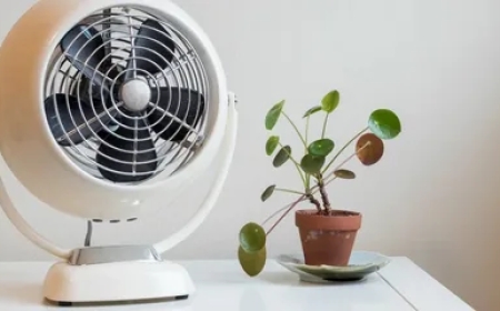 Need a Smarter Way to Stay Cool This Summer?