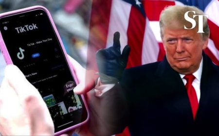 Descargar Videos de TikTok