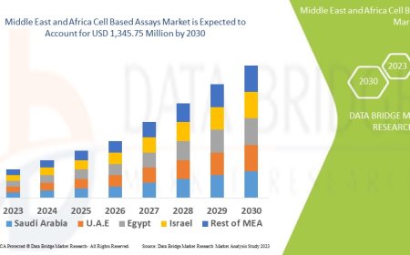 Middle East and Africa Cell Based Assays Market Size, Share, Trends, Demand, Growth and Competitive Outlook