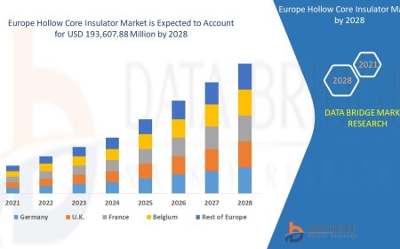 Grid Modernization Initiatives Spark Growth in Europe Hollow Core Insulator Market
