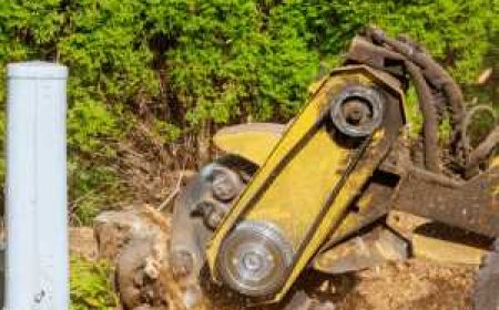 The Ultimate Guide to Stump Grinding: What It Is, Why You Need It, and How It's Done