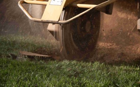 Stump Grinding: The Ultimate Guide to Removing Tree Stumps Safely and Efficiently
