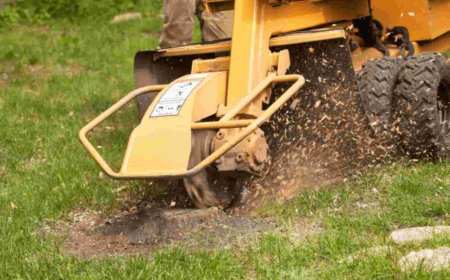 The Ultimate Guide to Stump Grinding: Process, Benefits & Cost