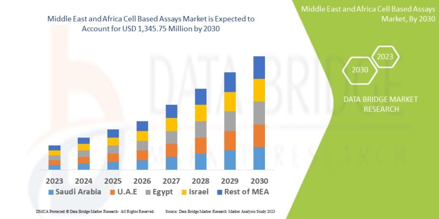 Middle East and Africa Cell Based Assays Market Size, Share, Trends, Demand, Growth and Competitive Outlook