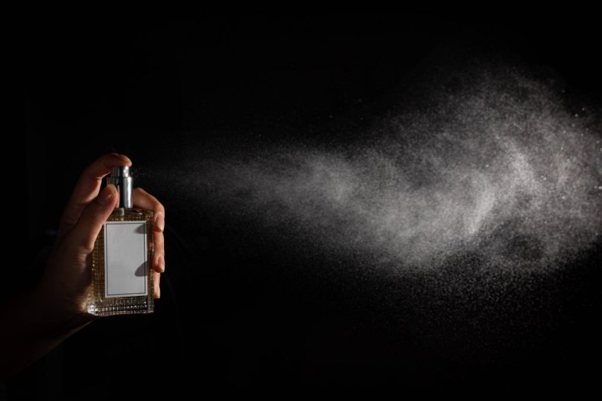 Top Perfumes for Men That Get You Noticed Instantly
