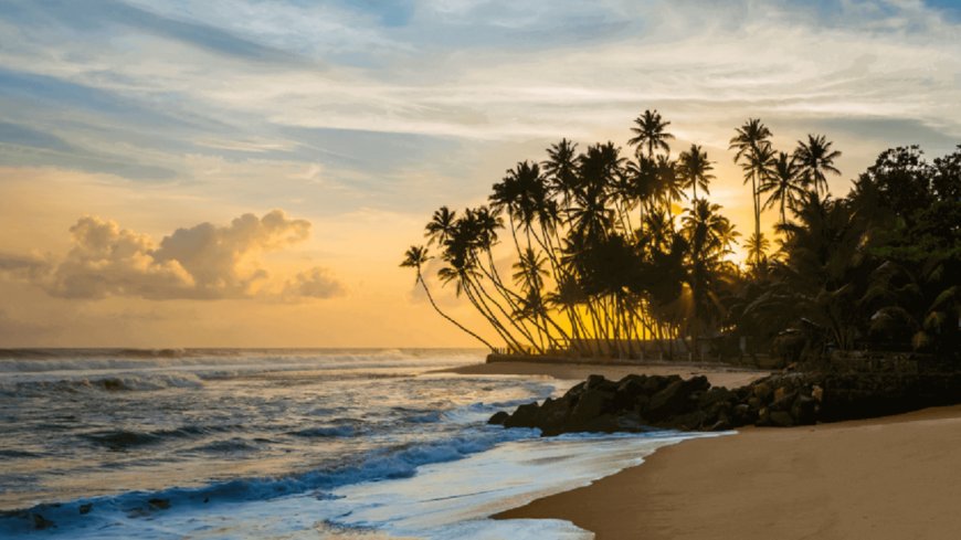 Planning Your Dream Honeymoon: Best Time to Visit Sri Lanka