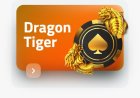 Is tiger365 withdrawal Safe and Secure? A Look at Their Payment Systems