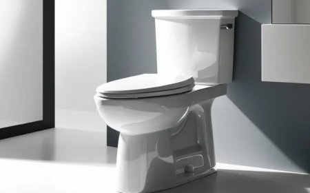 Quick and Simple Toilet Seat Installation with Glacier Bay