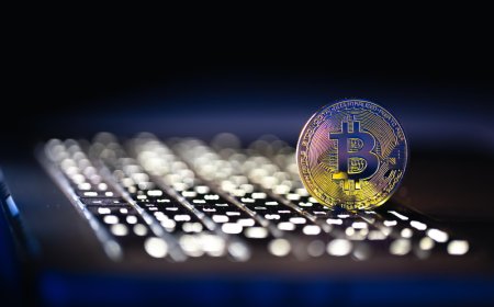 Profit & Loss Calculation: Why You Need a Crypto Calculator ?