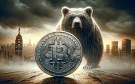 How to Spot a Rug Pull: Red Flags in New Crypto Projects