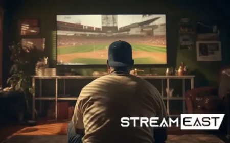 How to Record Streameast Streams for Later Viewing