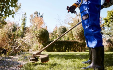 Backyard Cleaning Services | Care n Clean Landscaping