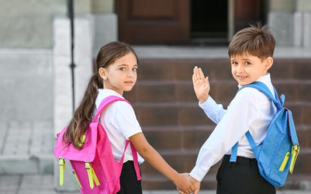 The Great School Bags & Lunch Box Drama