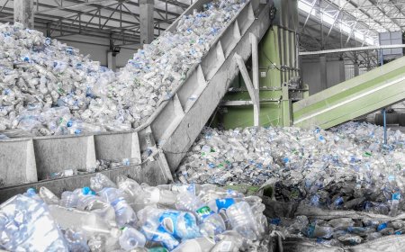 Recycled PET Manufacturing Plant Project Report 2025: Machinery, Cost Analysis and Utility Requirements