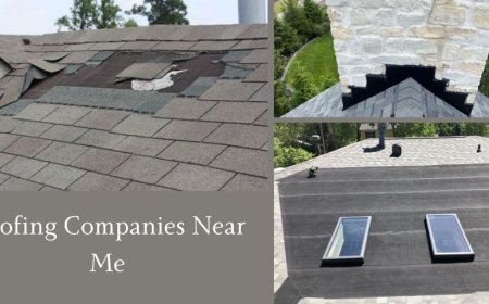 Roof Repair vs. Roof Replacement: What's Best for Your Home?