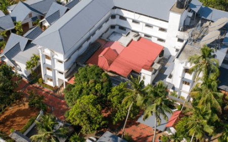 Healing Head and Spine Naturally: Ayurveda for Migraine and Back Pain Relief in Kerala