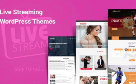 Is This The Best Live Streaming WordPress Theme for Your Brand?