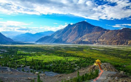 Unveiling the Magical Realm of Nubra Valley Ladakh