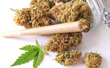 Your Guide to the Best Place to Buy THCA Flower and THCA Weed Online