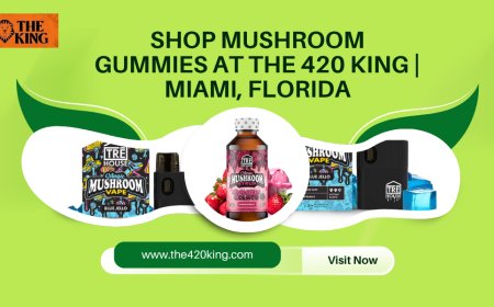 Why Mushroom Gummies Are the Wellness Essential You Didn’t Know You Needed