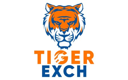 How to Start Online Gaming with Tigerexch - Expert Guide