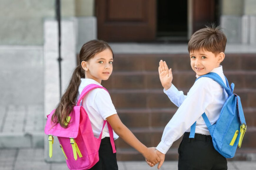 The Great School Bags & Lunch Box Drama