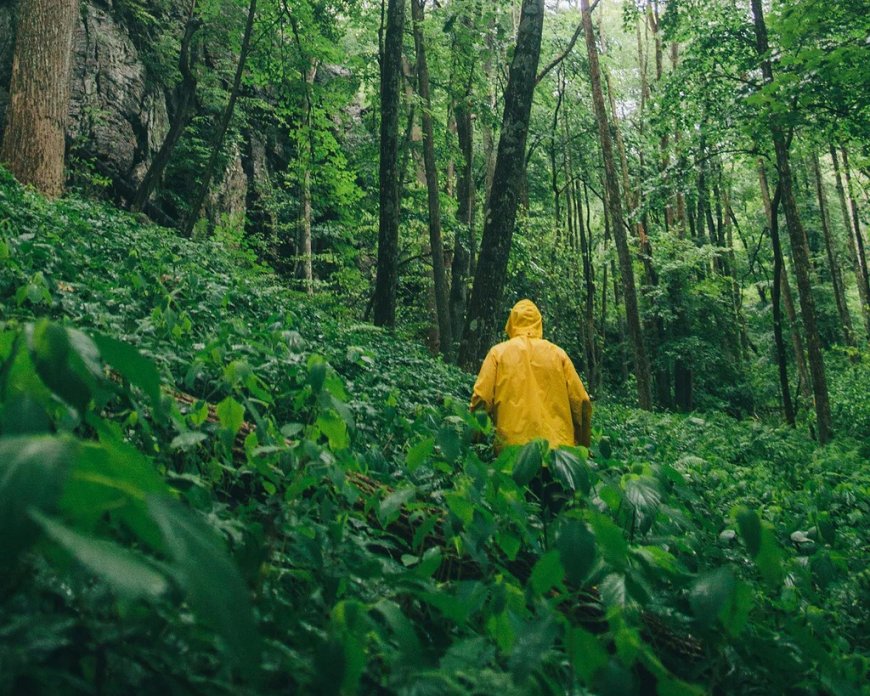 Essential Gear for Monsoon Trekking and Hiking: A Complete Guide