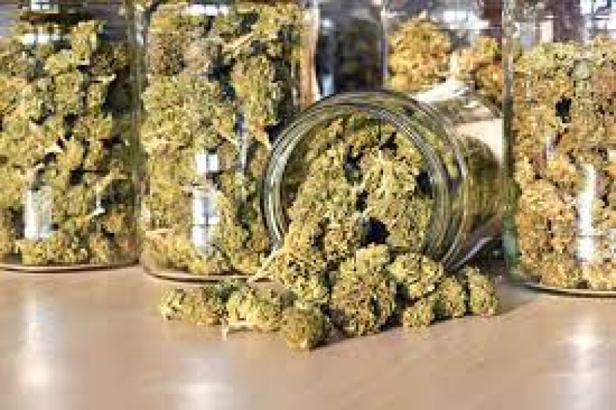 What Makes the Leading DC Dispensary So Trusted Today?