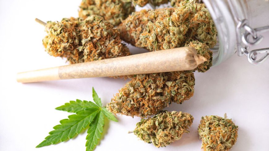 Your Guide to the Best Place to Buy THCA Flower and THCA Weed Online